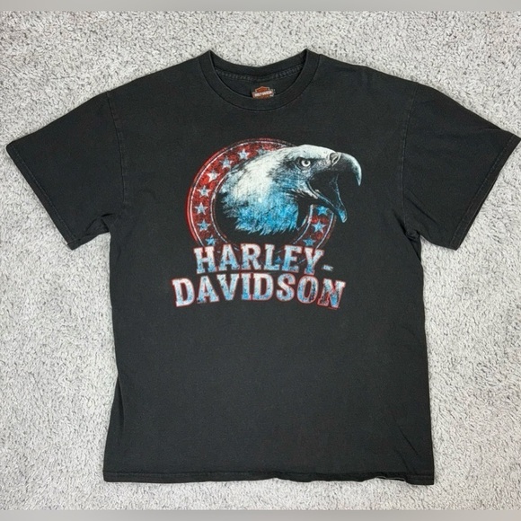 Harley Davidson Shirt Mens Large Crewneck Eagle 2020 Stars Motorcycles HD Riding - Picture 1 of 6